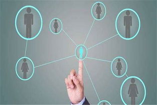 软件定制开发流程详解 互联网销售视角下的高效路径