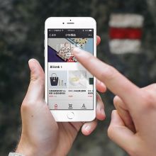 天津市龙华新技术开发公司 玩具、电子产品与软件的互联网销售新势力