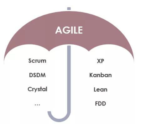 敏捷软件开发 现代软件开发的核心方法论