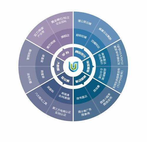 聊城互联网营销与软件开发 融合发展路径探析